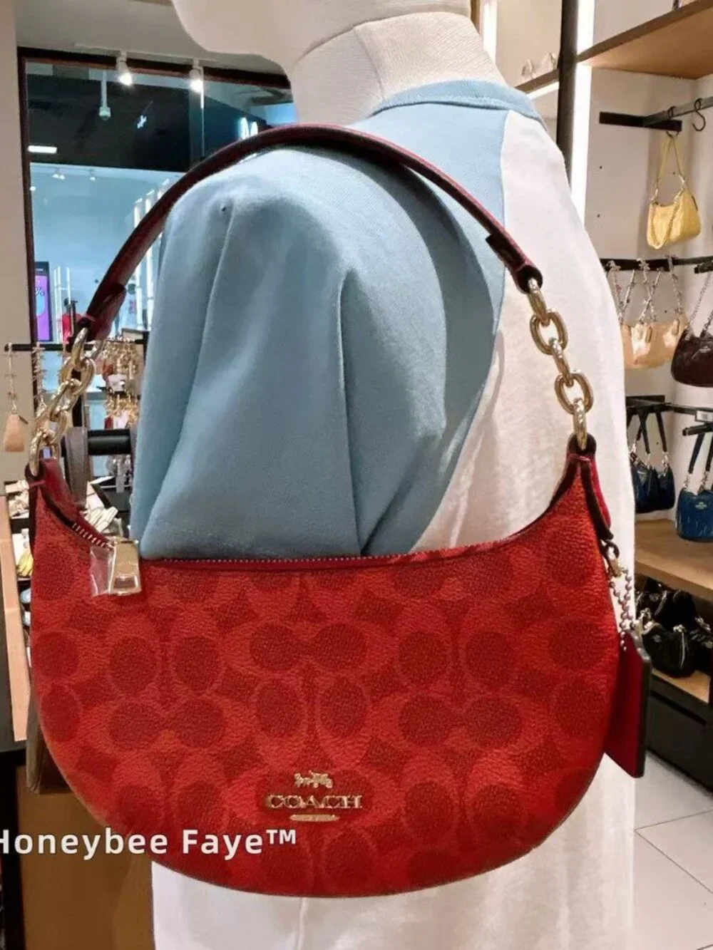 Mini Payton Bag In Signature Canvas CEL06